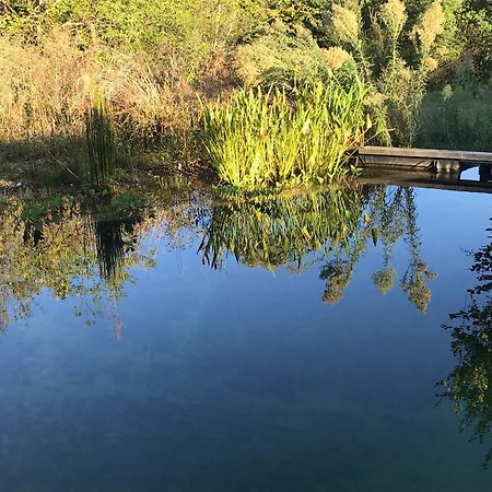 Ecolieu Le Chant Du Temps Bed & Breakfast Saint-Usuge Luaran gambar