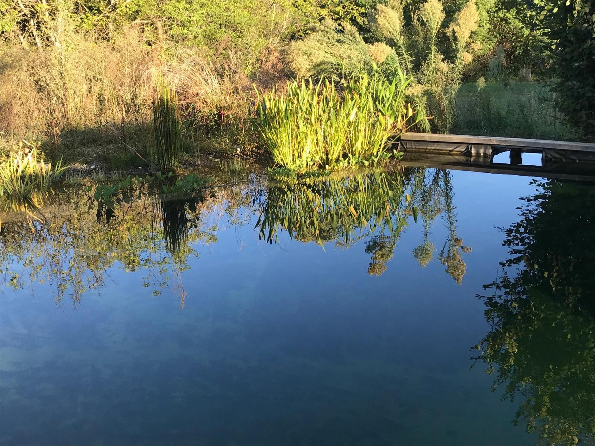 Ecolieu Le Chant Du Temps Bed & Breakfast Saint-Usuge Luaran gambar